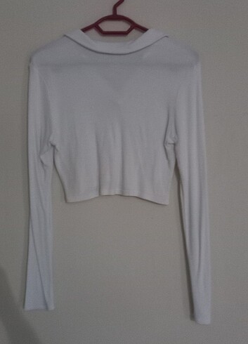 Addax uzun kollu crop