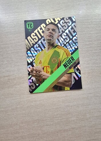 NEUER PANINI KART
