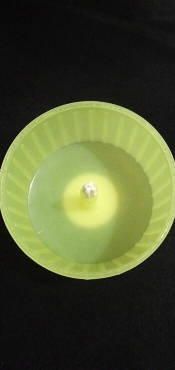 Hamster çarkı 