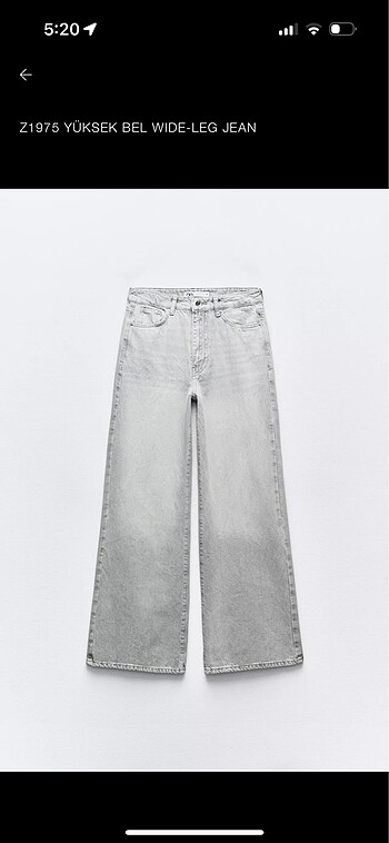 zara jean