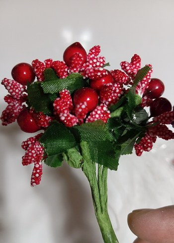 renkli kokinalar - Görsel 7