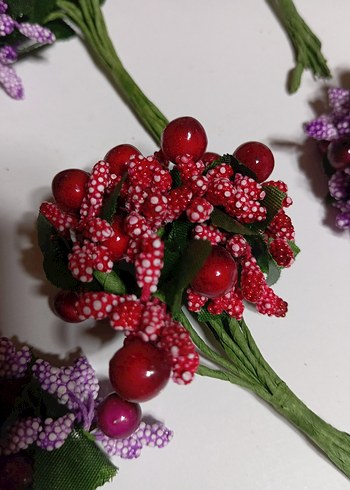 renkli kokinalar - Görsel 8