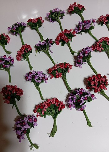 renkli kokinalar - Görsel 5