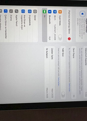 Beden gri ipad a16