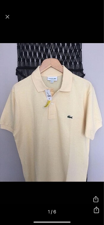 lacoste polo