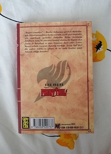  Fairy Tail 1. Cilt
