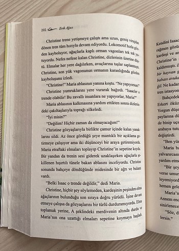 Erik Ağacı - Ellen Marie Wiseman - Görsel 2