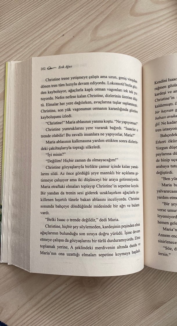 Erik Ağacı - Ellen Marie Wiseman - Görsel 2