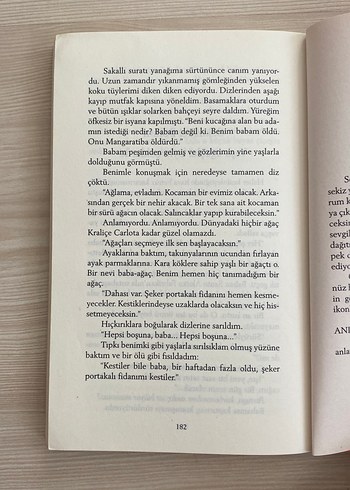 Şeker Portakalı - José Mauro de Vasconcelos - Görsel 3