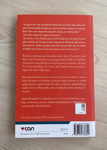 Şeker Portakalı - José Mauro de Vasconcelos - Görsel 2