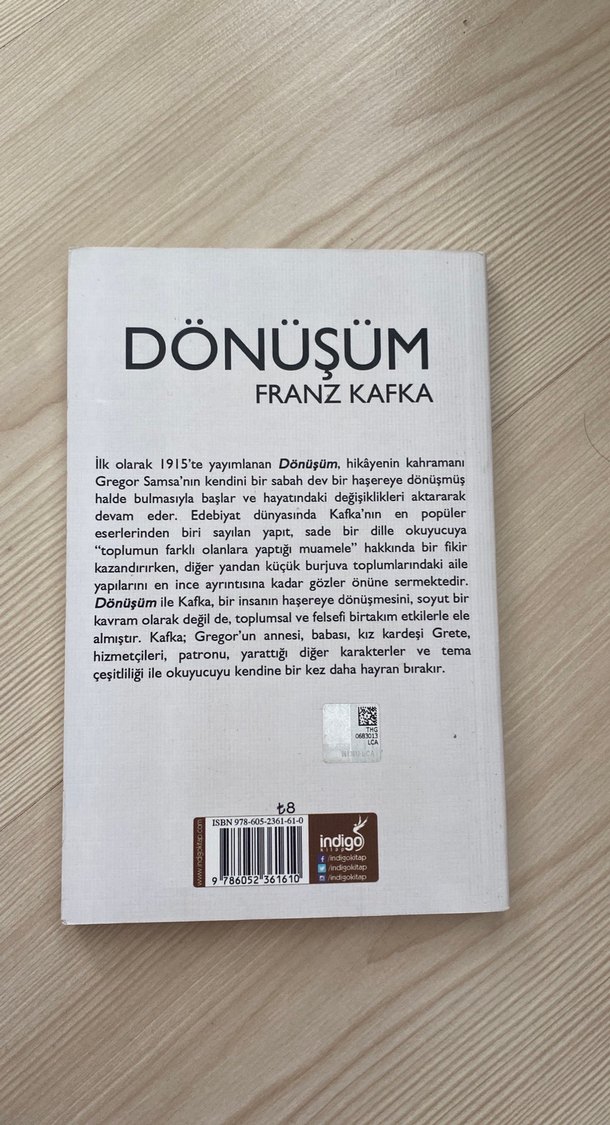 Dönüşüm - Franz Kafka - Görsel 2