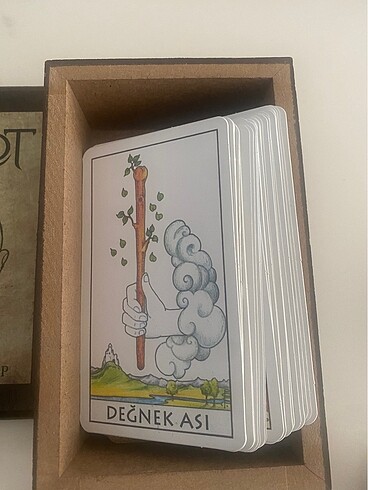  Beden Tarot