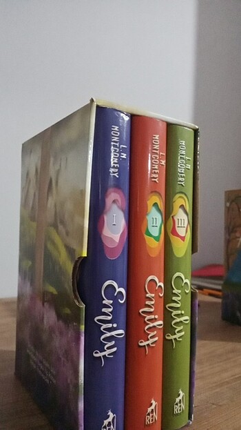  Beden Renk Rüzgarın kızı Emily kutulu kitap seti