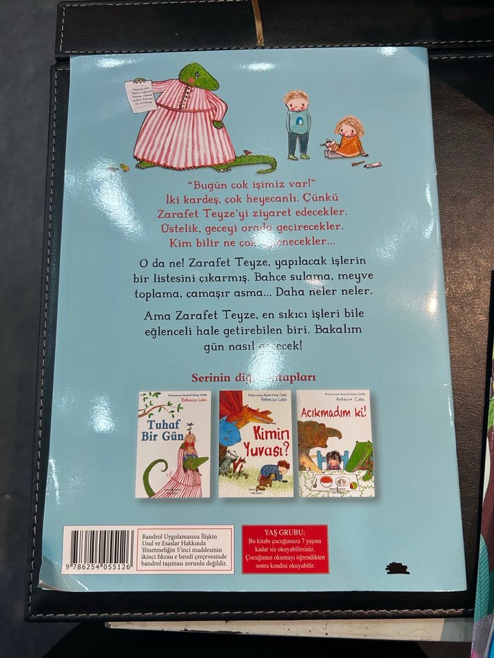 Harika Bir Gün - Rebecca Cobb - Görsel 2