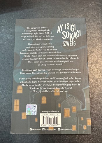 Ay Işığı Sokağı - Stefan Zweig - Görsel 2