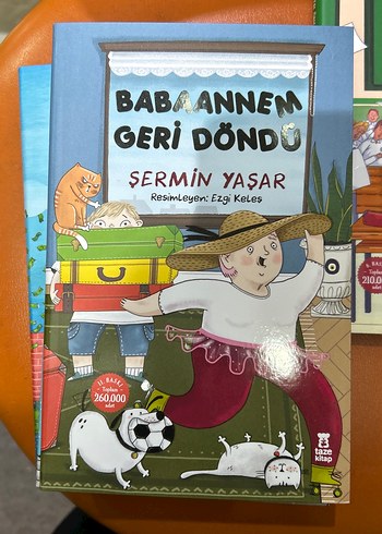 Şermin Yaşar Çocuk Kitapları Seti - Görsel 6