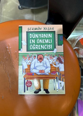 Şermin Yaşar Çocuk Kitapları Seti - Görsel 2