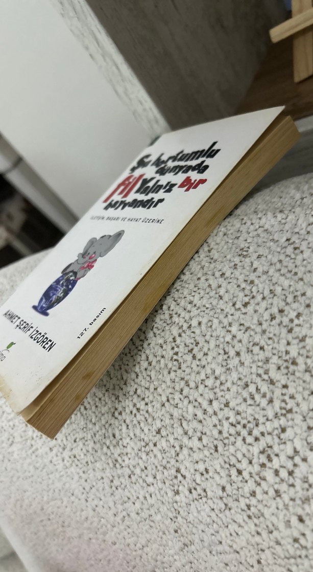 Şu Hortumlu Dünyada Fil Yalnız Bir Hayvandır - Görsel 3