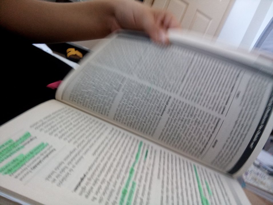 Andrew Heywood - Siyaset Kitabı - Görsel 2