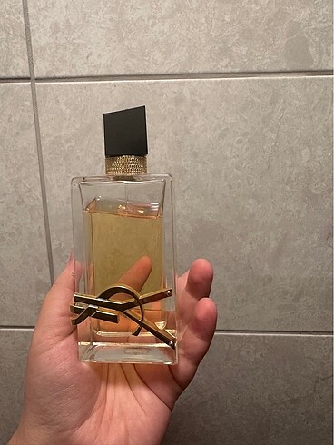 Ysl libre