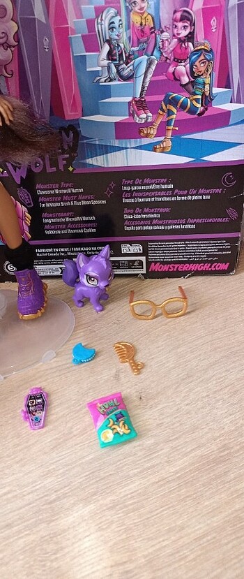 Beden Renk Monster high clawdeen satld