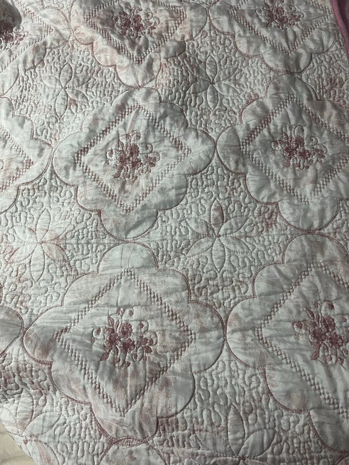 Nakışlı Pastel pudra ve bayan Yatak Örtüsü - Görsel 2