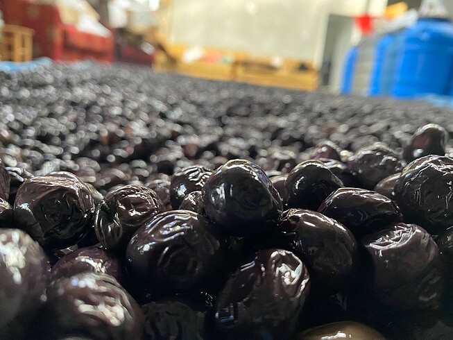 Diğer DUBLE ZEYTİN ve ZEYTİNYAĞ