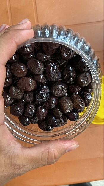  Beden Renk DUBLE ZEYTİN ve ZEYTİNYAĞ