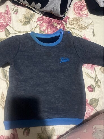Polar sweatshirt