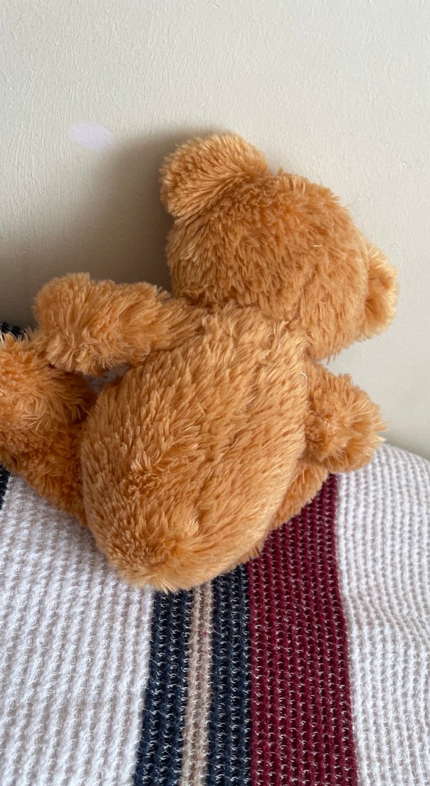 Kahverengi Peluş Ayıcık - Görsel 2