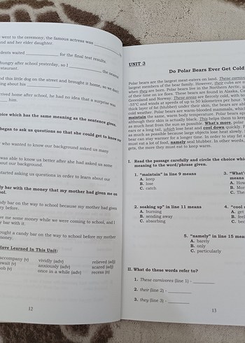  Impact Grade 11 Reading Kitabı