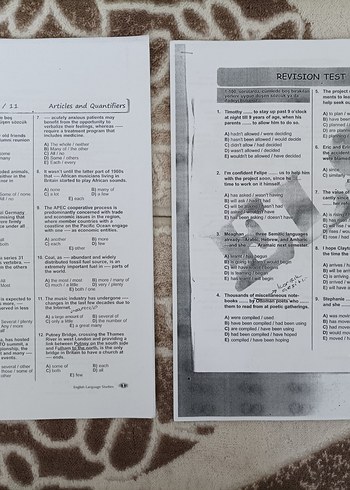 YDT Sınav Hazırlık Testleri