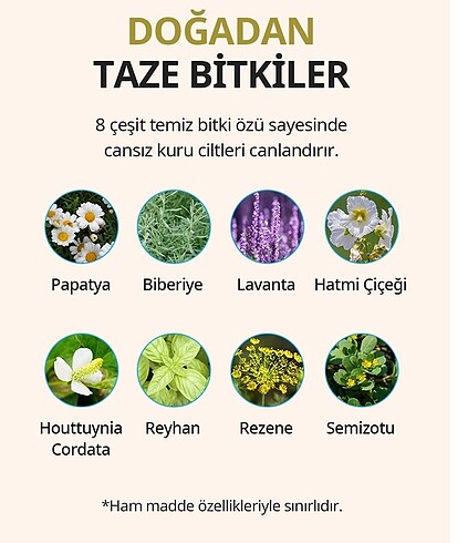Diğer Vücut losyonu