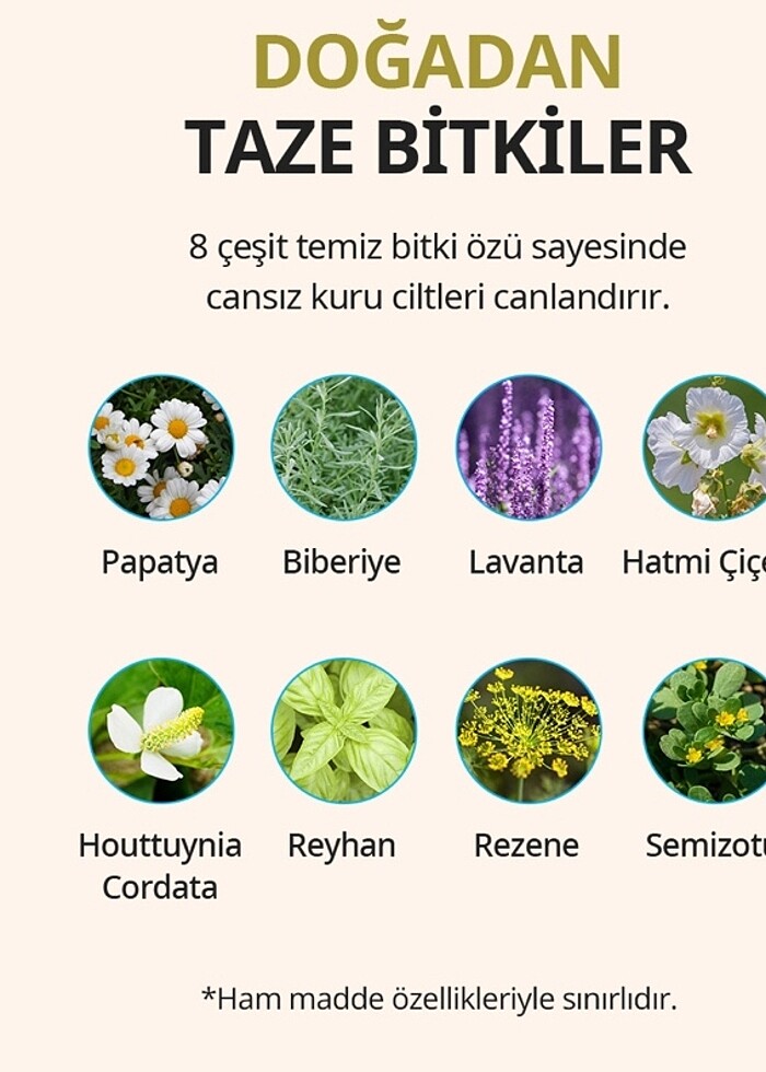 Vücut losyonu - Görsel 2