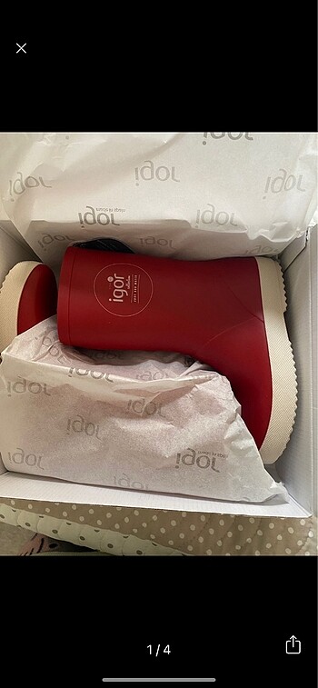 Igor bot