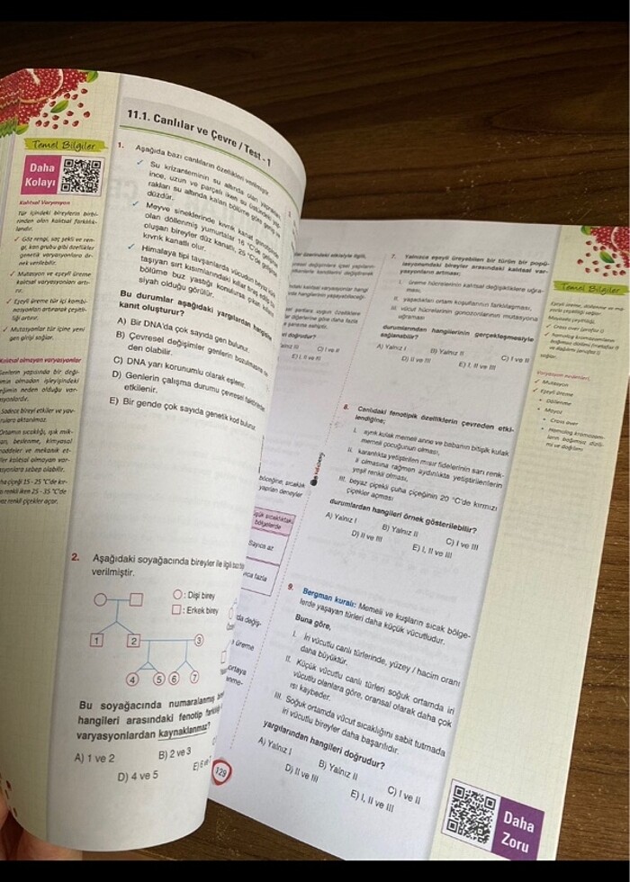 Ayt biyoloji test kitabı kafa dengi - Görsel 2