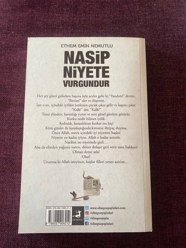 Nasip Niyete Vurgundur - Ethem Emin Nemutlu - Görsel 2