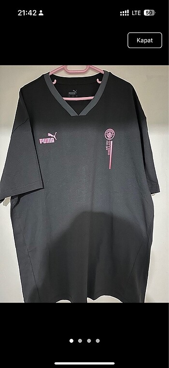 Puma lll