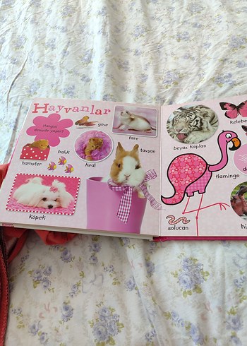İlk 100 Kelime - Resimli Kitap
