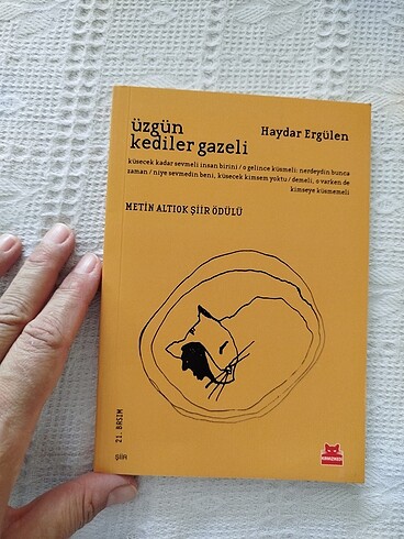 Üzgün kediler gazeli
