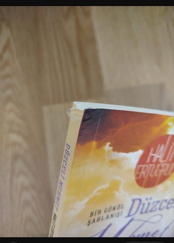 Düzceli Mehmet Şiir Kitabı - Görsel 2