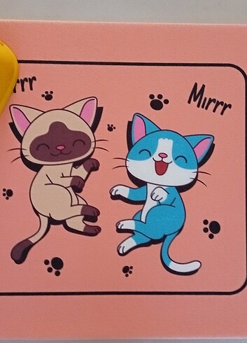 Kedi mama paspası 
