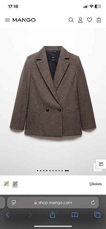 Mango blazer