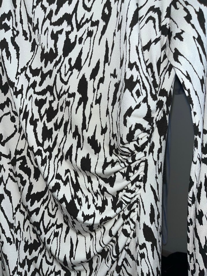 Zebra Desenli Uzun Kollu Kadın Kalem Elbise - Görsel 2