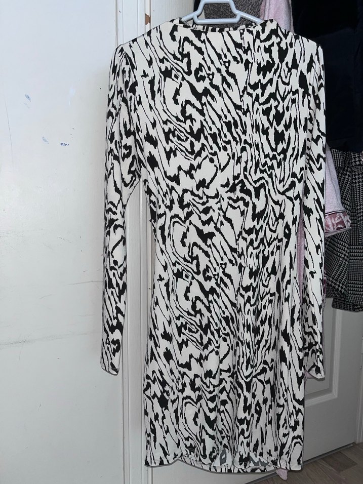 Zebra Desenli Uzun Kollu Kadın Kalem Elbise - Görsel 4