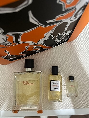 Terre D'Hermes EDT 100 ML