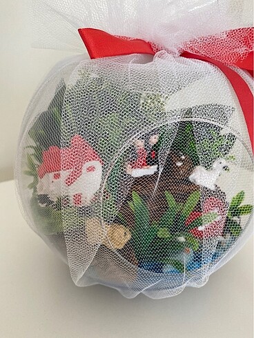 Teraryum - Görsel 5