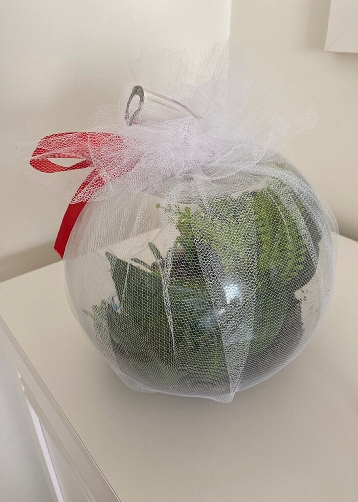 Teraryum - Görsel 3