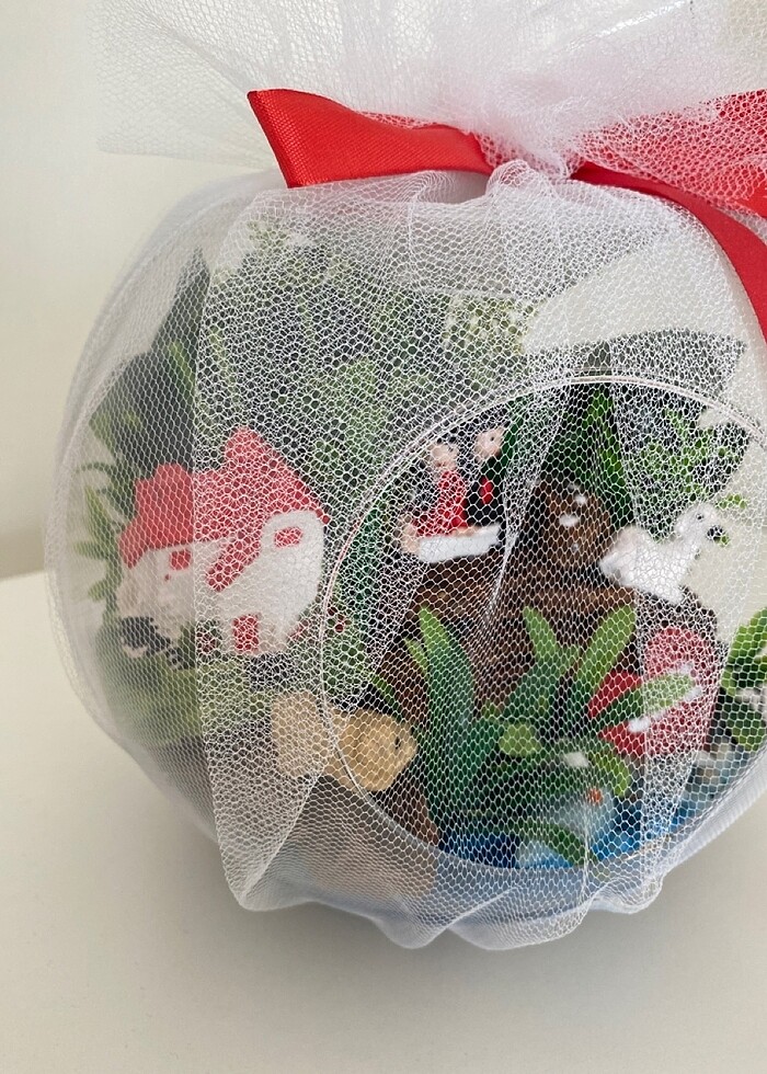 Teraryum - Görsel 5