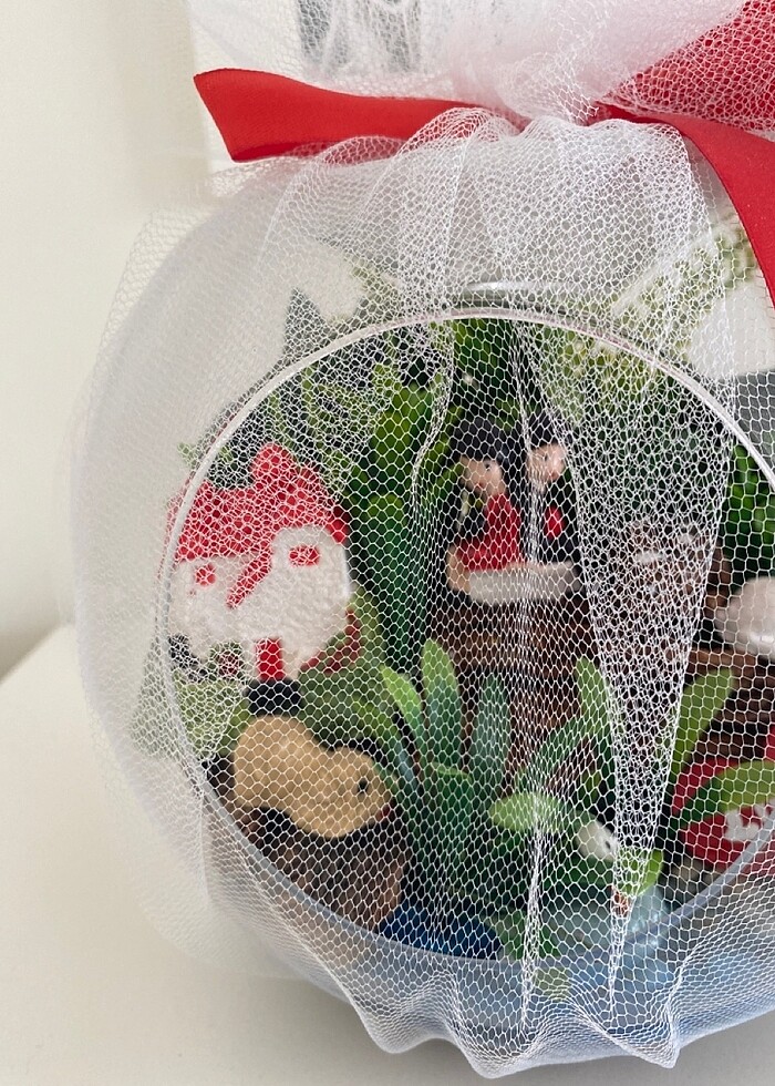 Teraryum - Görsel 2